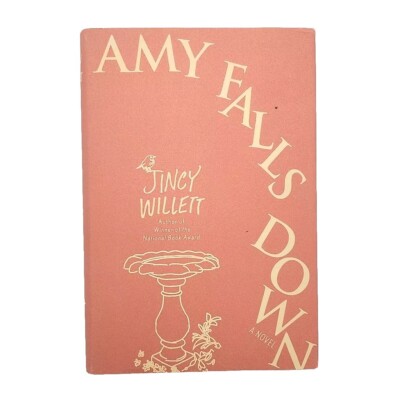 Amy Falls Down by Jincy Willett 1st Edition 2013 Hardcover Book