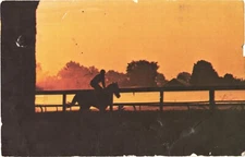 Silhouette of Rider And Horse At The Oldest Race Track, Saratoga, NY Postcard