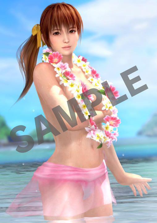 Dead Or Alive5 Last Round Ps4 8 Types Of Bath Posters | eBay