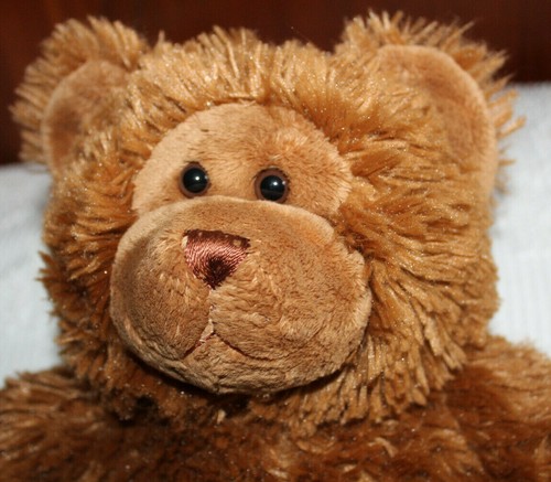 build a bear with personal voice