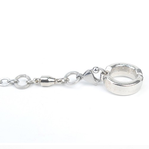 Tobillera de pie de pájaro Cadena de pie de pájaro Grilletes de pierna Loro Plomo Correa de loro - Imagen 6 de 12