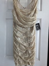 Brand New With Tags Express Lace Dress Size 10