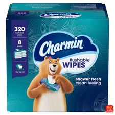 Flushable Wipes - 8pk/40ct-2pack