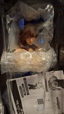 Native BINDing NON VIRGIN Bunny Girl Hiromi S...