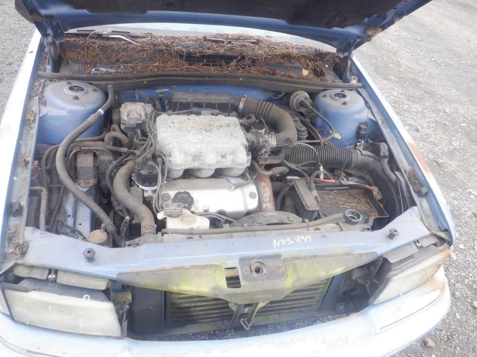 Passenger Right Headlight Fits 89-95 ACCLAIM 30952337 - Image 3 of 4