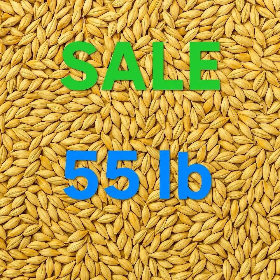 Malt, grain 55 lbs Pilsen Malt Briess Malting Lightest Color Base Malt for Lager - Image 2 of 3