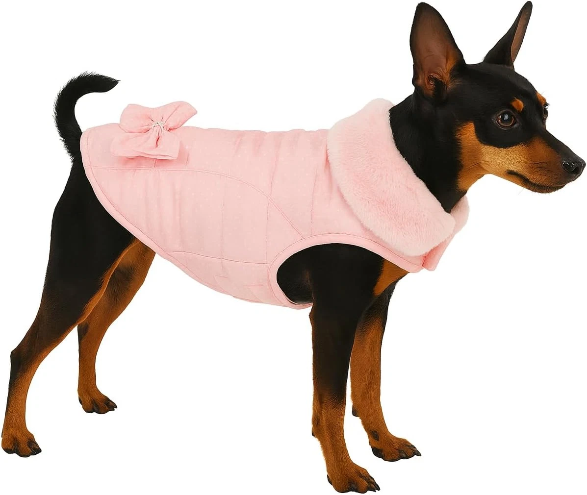 BDSHUNBF Cappottino Cane Taglia Piccola, Cappotto Cane Giacca Per Cani Antivento Ipereabile - 11