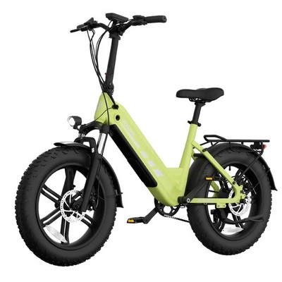 Bicicleta eléctrica Bodywell E Bike 20 pulgadas 250W 25KM/H bicicleta de montaña eléctrica PAS Fatbike DE