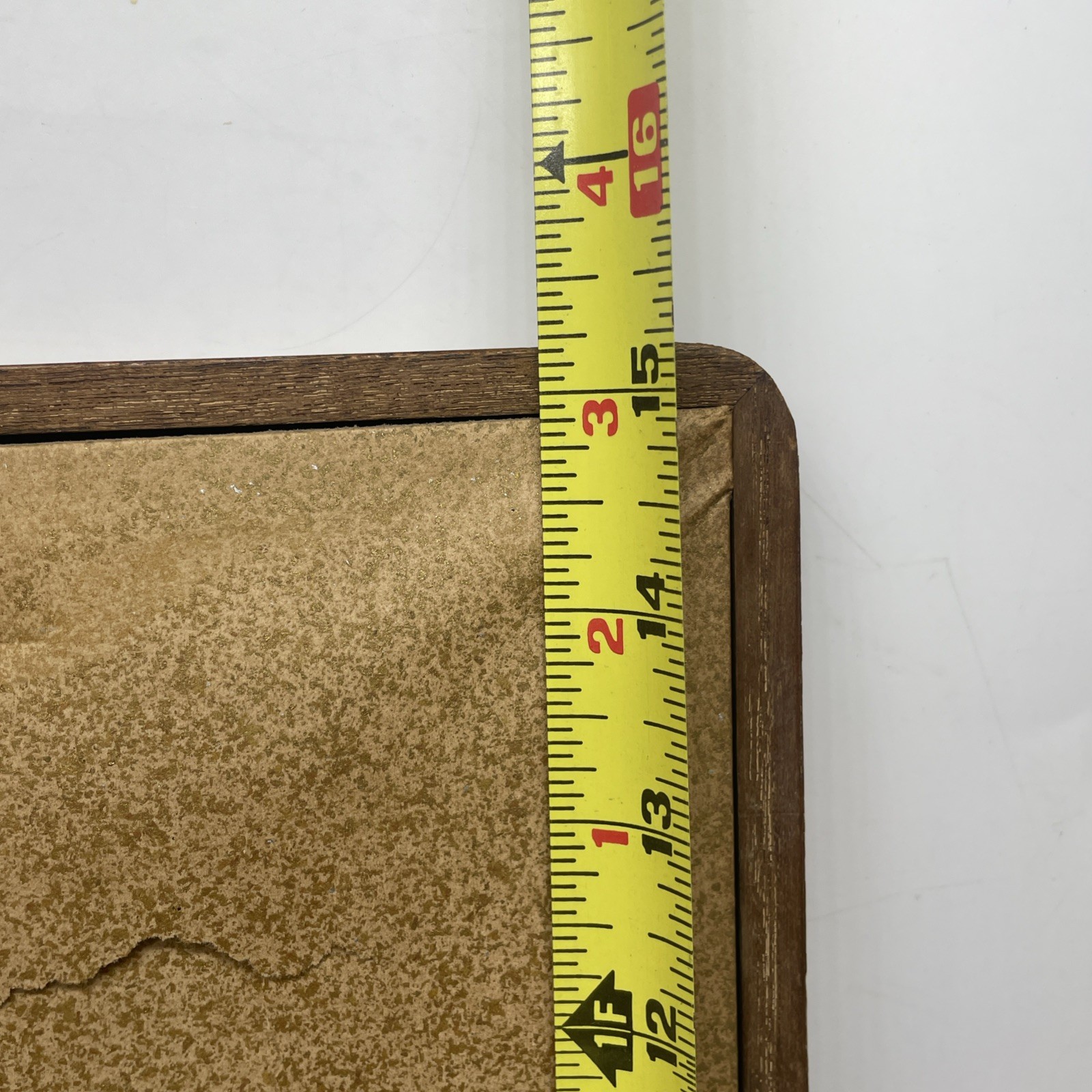 Picture 13 of 13