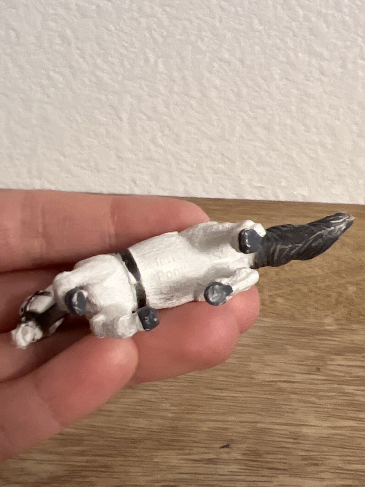 Bild 11 von 12