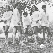 Female Species - Tale Of My Lost Love [New Vinyl LP]