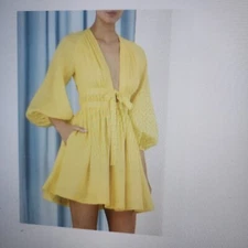 ZIMMERMANN Sexy deep plunge neckline mini dess 