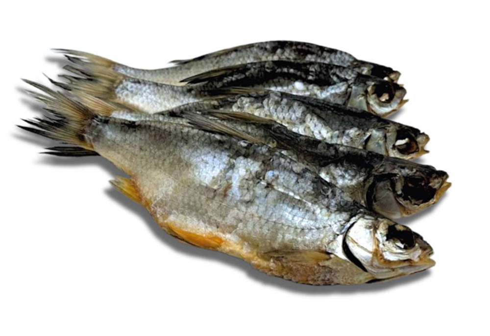 1 kg Wobla Вобла Fisch getrocknet gesalzen Kasachstan n. ausgenommen Bier Snack