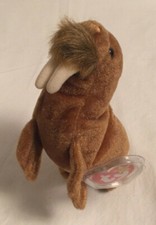 Ty Beanie Baby PAUL the Walrus - Feb 23 1999 -w/Tag errors Perfect Condition  