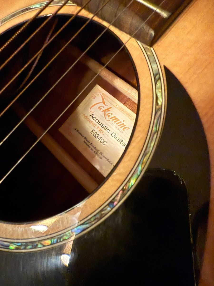 Takamine G Series EG340C Acoustic-Electric guitar with gator case