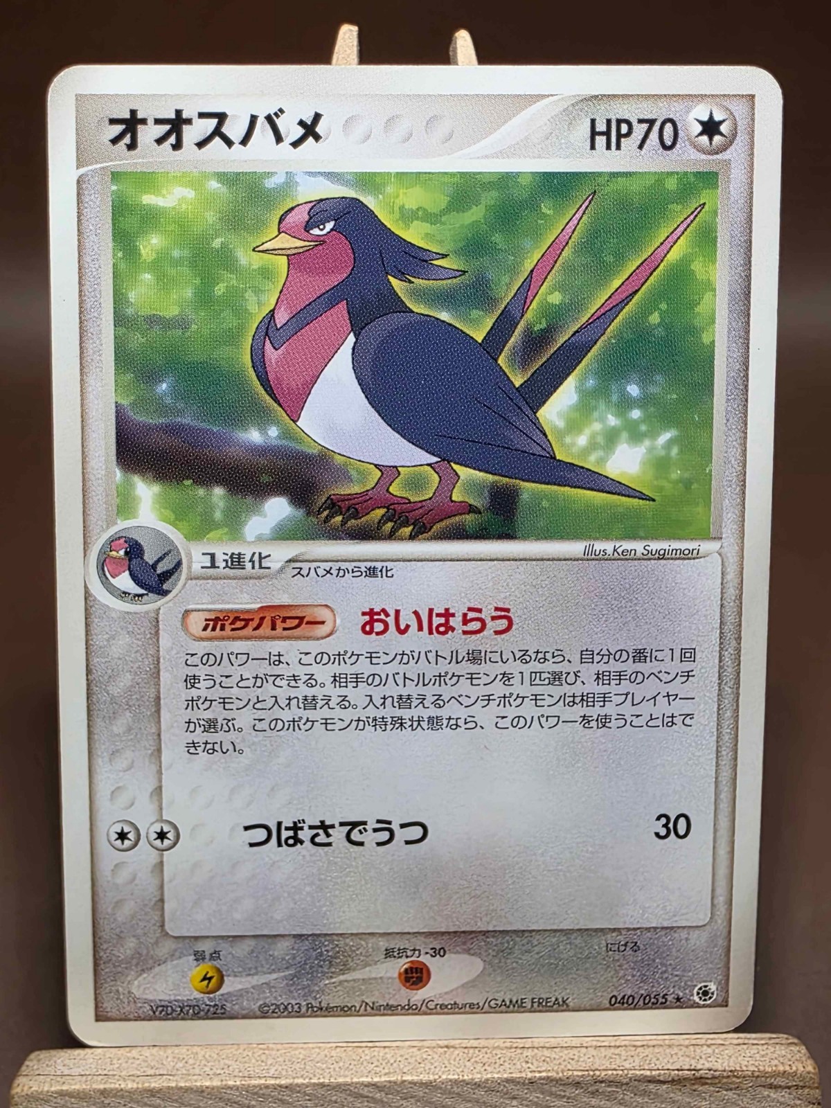 Swellow 040/055 Unlimited HP ADV Expansion Pack Japanese Pokemon Card TCG
