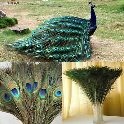 10X Real Natural Peacock Tail Eyes Feathers Wedding Festival Party Home  Decor_US