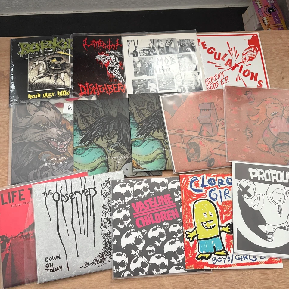 39x Vinyl LP Collection PUNK HARDCORE Integrity Poison The Well Blitzkid - Bild 2 von 4