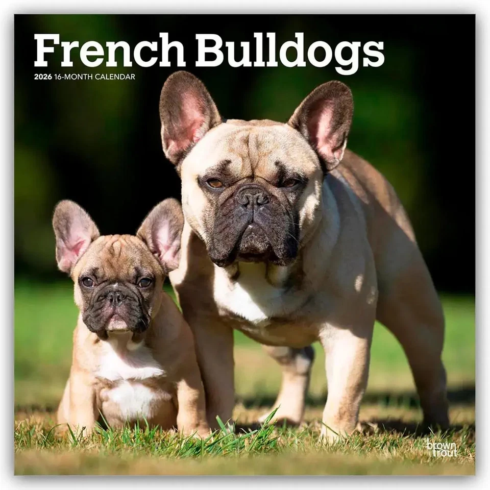 BROWNTROUT VERLAGS GMBH French Bulldogs - Französische Bulldogge 2026 - 16-Monatskalender | Publishers