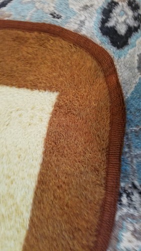Vintage San Marcos Majestic Lion Throw 58x80 Excellent - Picture 5 of 11