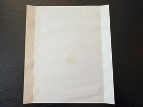 SEGA Saturn Panzer Dragoon, Daytona USA Back Cover Inserts Backside Box Art ONLY