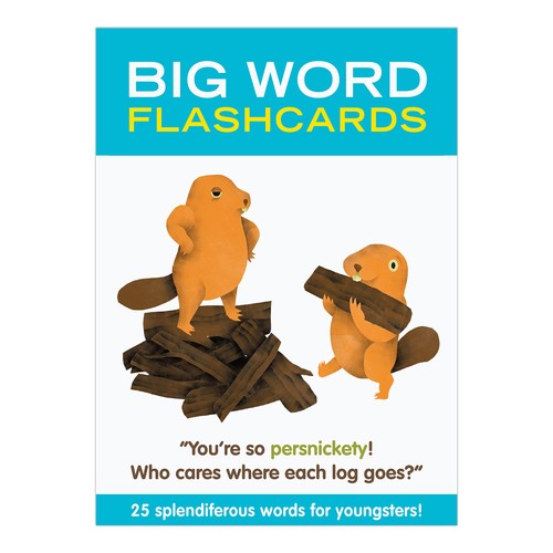 Knock Knock Big Word Flashcards