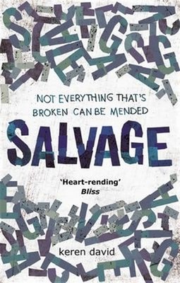 Salvage Paperback Keren David