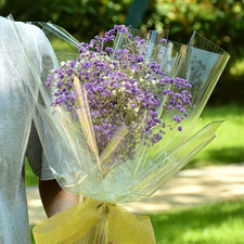 4 x Packpapierrolle Kunststoff transparent, Geschenk, Blumen, Hochzeit