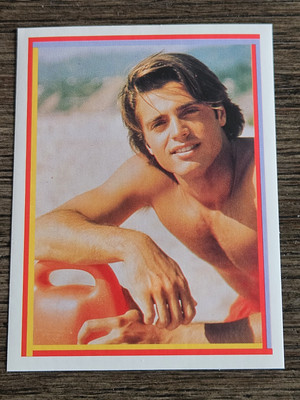 1993 Merlin Baywatch Stickers David Charvet as Matt Brody #91 NM    