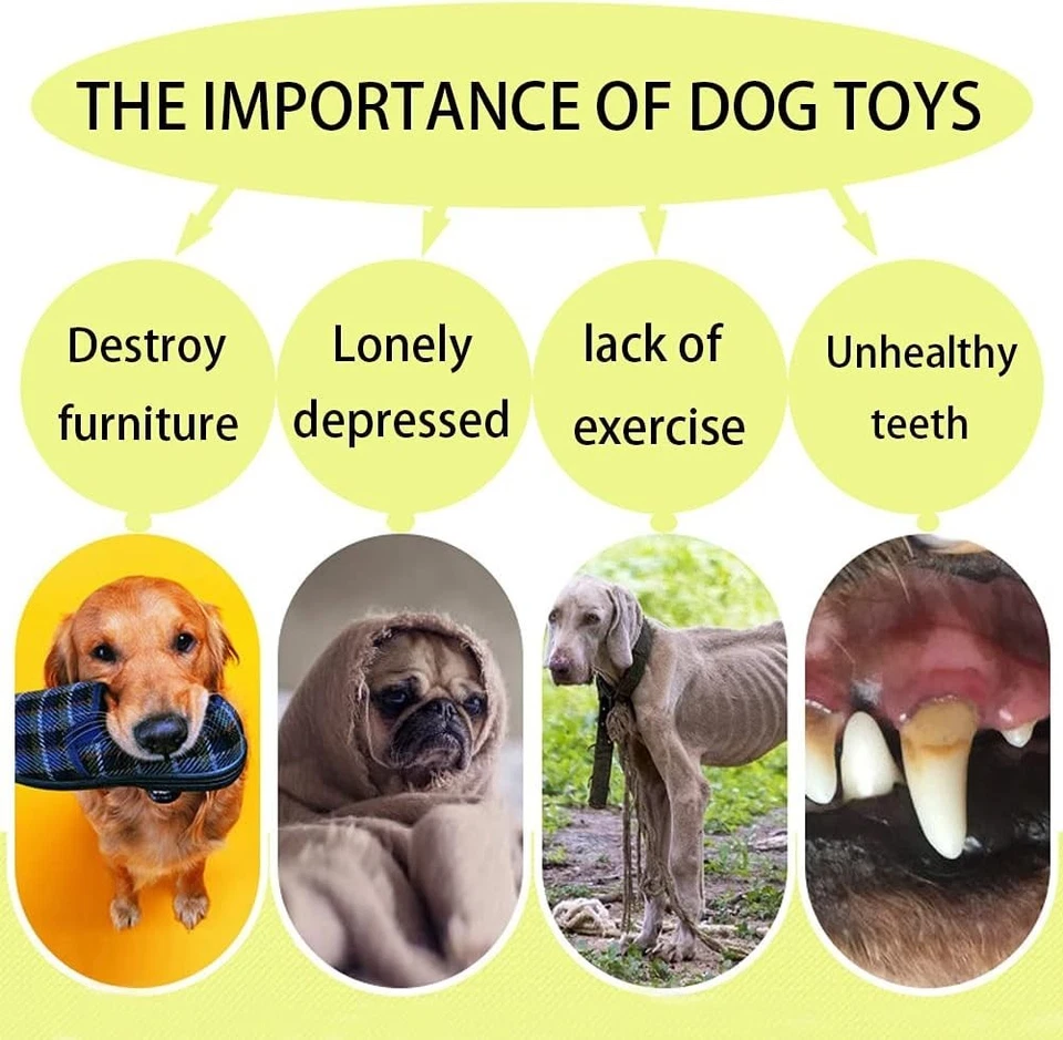 Hundefrisbee Azul+Orenge - Großes Spielzeug für Energetische Hunde im Freien - Bild 4 von 4