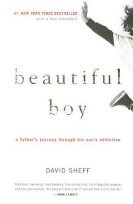 Beautiful Boy: A Father's Journey Through His Son's Addiction by Sheff, David