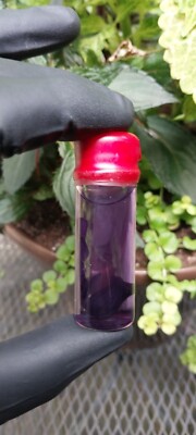 Indian Pipe Ghost Plant 15ml. Vial  MONOTROPA UNIFLORA Plus