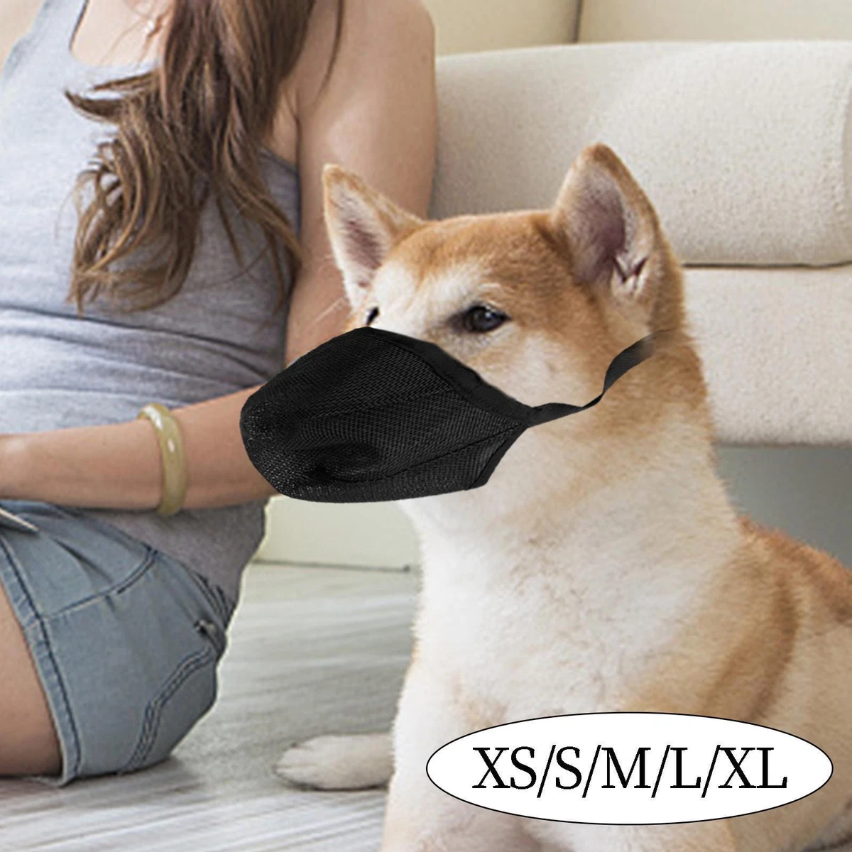 Dog 2024 mouth guards
