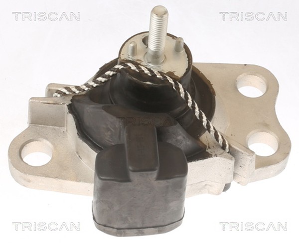 Triscan Motorlager 8505 25100 FüR Renault Kangoo FC0 Clio 2 KC0 Thalia 1 SB0 Dci-image