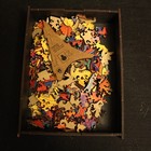 Picture 4 of 4