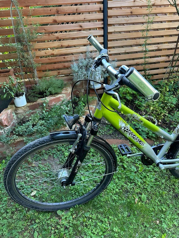 Grünes Kinderfahrrad (Alter 12-13) Fahrrad, Mädchen/ Jungen, mit Gepäckträger - Bild 4 von 4