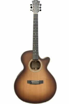 Dowina Bordeaux GACE LB + L.R.Baggs SPE Electro-Acoustic Guitar BESTSELLER