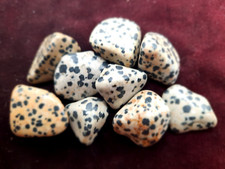 Lot of 9 Polka Dot Dalmatian Jasper Polished Decoration Rock Mineral Crystal