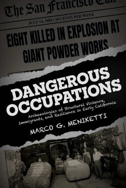 Dangerous Occupations : Archaeologies Of