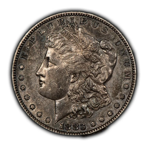 1883-S $1 Morgan Silver Dollar - Glassy AU/UNC Key Date - VIDEO - SKU-D5689
