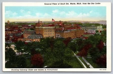 General View Of Sault Ste Marie MI From The Soo Locks Birdseye Postcard S13