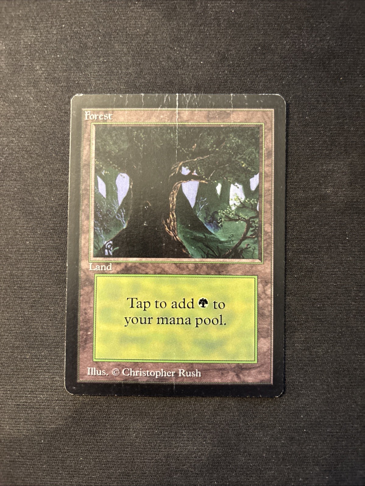 Forest (C) Limited Edition - Beta Mtg HP