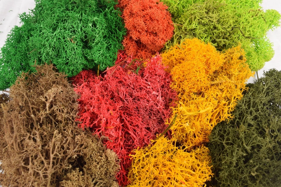 WWscenics Lichen Moss Foliage for Scenery, Scatter, Flock, Model Rail & Dioramas