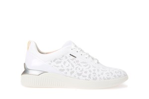 d and c trainers