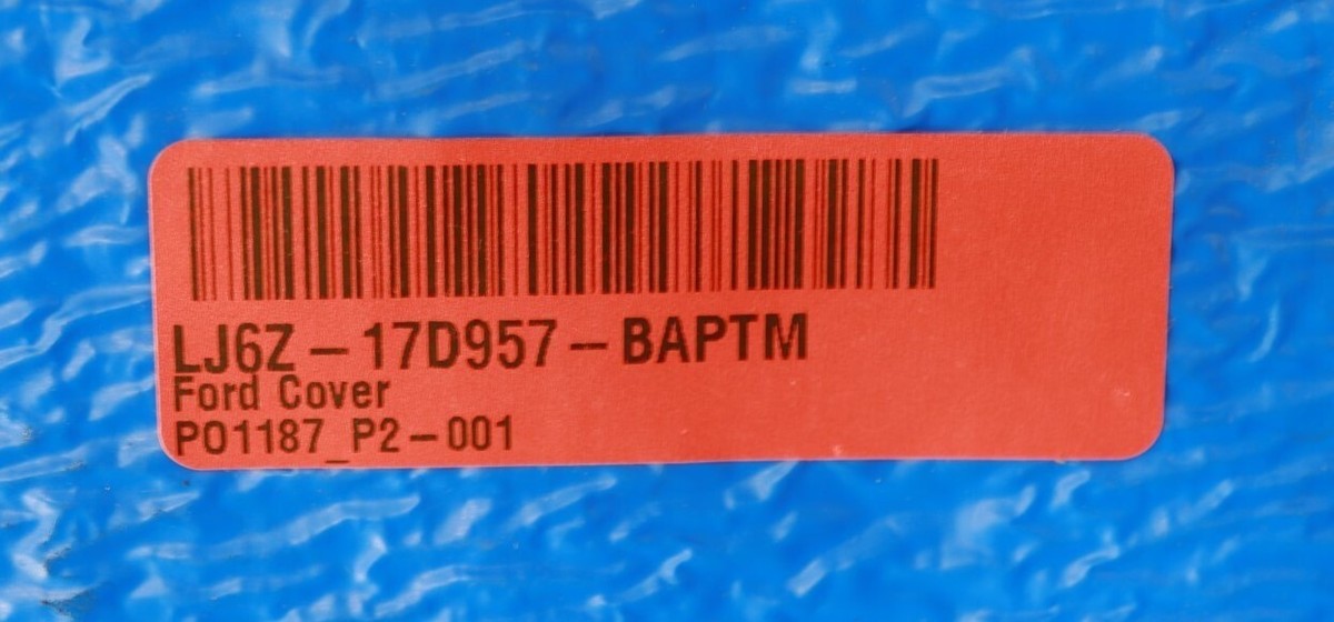 やまにゃん！ 最近のにゃんず🐈