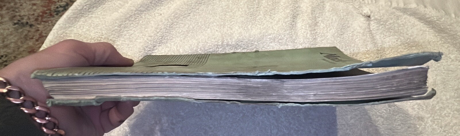 Foto 18 di 22