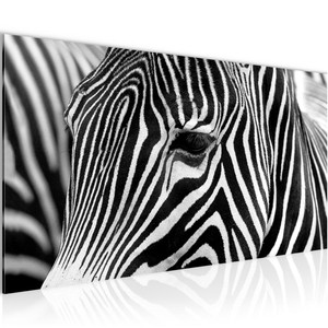 Wandbild XXL Modern Wohnzimmer - Afrika Zebra - Schlafzimmer Bilder
