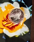 1 oz Fine Silver Round Sunshine Mint Eagle