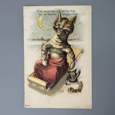 Antique Victorian Trade Card CRAZY CAT CATVILLE TOBOGGAN Plume Sleeping Pillow