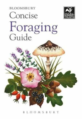 Concise Foraging Guide by Tiffany Francis-Baker